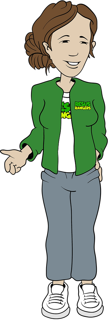 Illustration of Resus Ranger presenter